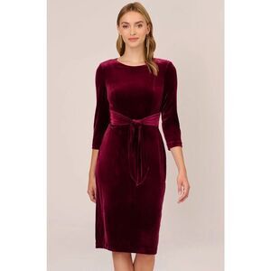 Adrianna Papell Burgundy Velvet Mini Dress